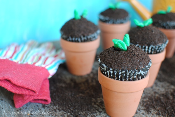 In The Garden Cupcakes